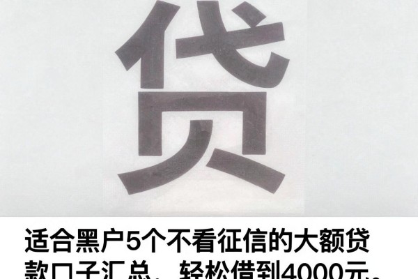 适合黑户5个不看征信的大额贷款口子汇总,轻松借到4000元
