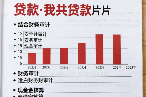 黑户快速贷款2万,顺便汇集5个借款2万秒过无视征信的口子