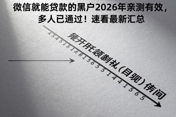 微信就能贷款的黑户2026年亲测有效,多人已通过!速看最新汇总