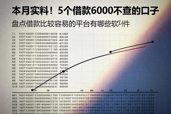 本月实料!5个借款6000不查的口子,盘点借款比较容易的平台有哪些软件