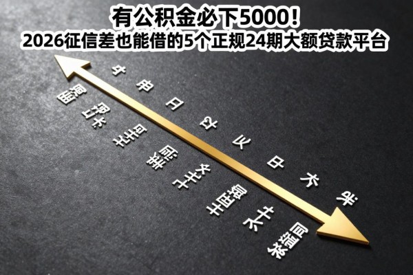 有公积金必下5000！2026征信差也能借的5个正规24期大额贷款平台