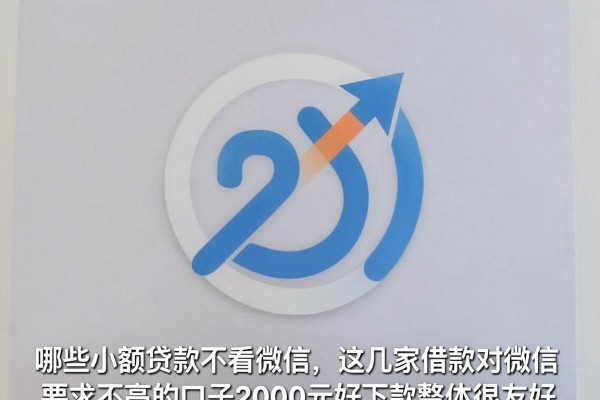 哪些小额贷款不看微信，这几家借款对微信要求不高的口子2000元好下款整体很友好