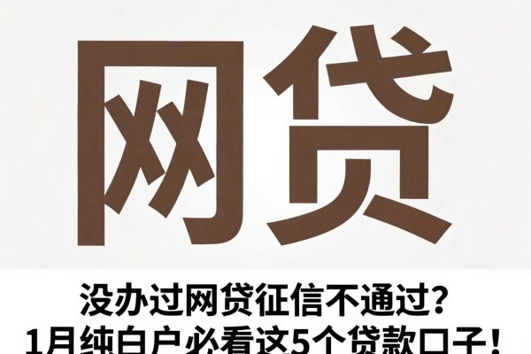 没办过网贷征信不通过？1月纯白户必看这5个贷款口子！