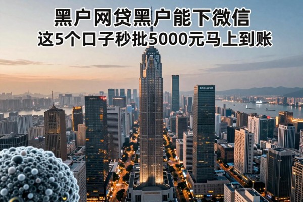 适合黑户网贷黑户能下款微信，这5个口子秒批5000元马上到账