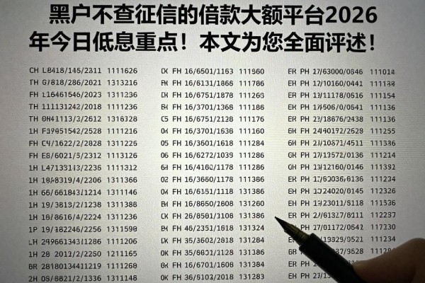 黑户不查征信的借款大额平台2026年今日低息重点!本文为您全面评述!
