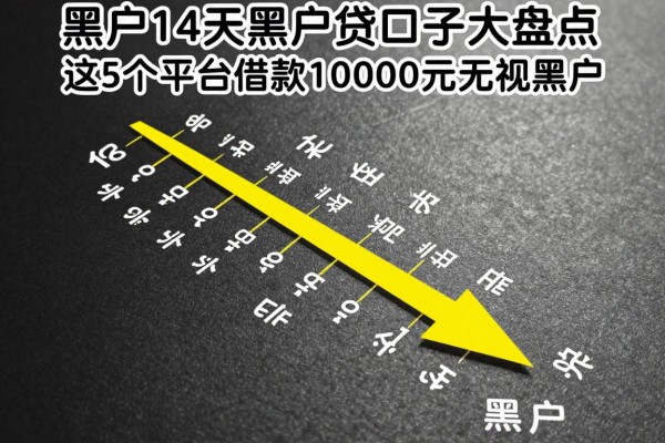 适合黑户14天黑户贷口子大盘点,这5个平台借款10000元无视黑户