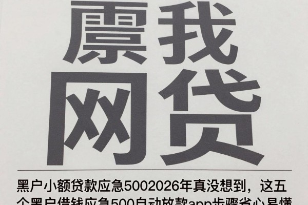 黑户小额贷款应急5002026年真没想到,这五个黑户借钱应急500自动放款app步骤省心易懂