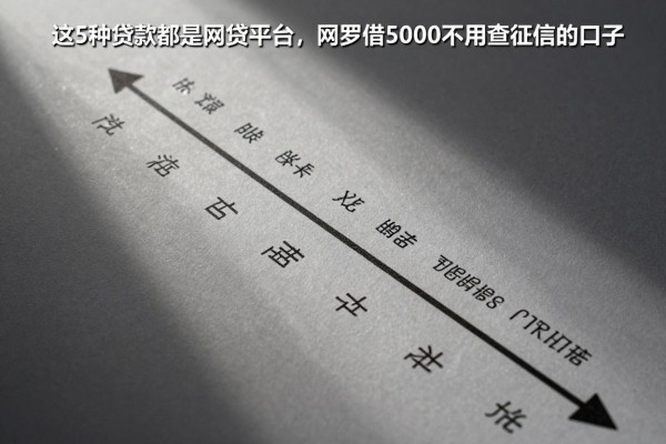 这5种贷款都是网贷平台，网罗借5000不用查征信的口子