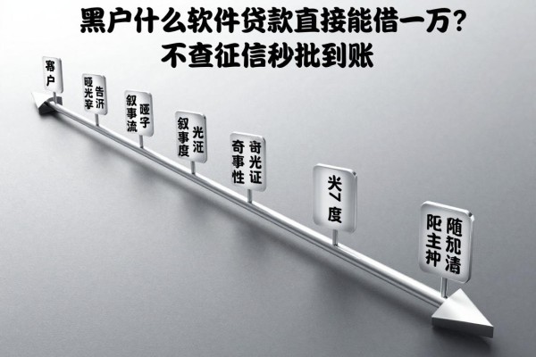适合黑户什么软件贷款直接能借一万?不查征信秒批到账