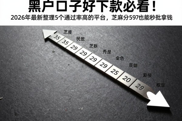 黑户口子好下款必看!2026年最新整理5个通过率高的平台,芝麻分597也能秒批拿钱