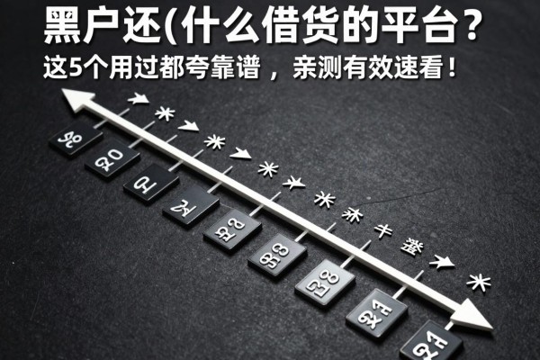 黑户还有什么借钱的平台?这5个用过都夸靠谱,亲测有效速看!