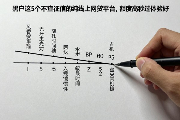 适合黑户这5个不查征信的纯线上网贷平台,额度高秒过体验好