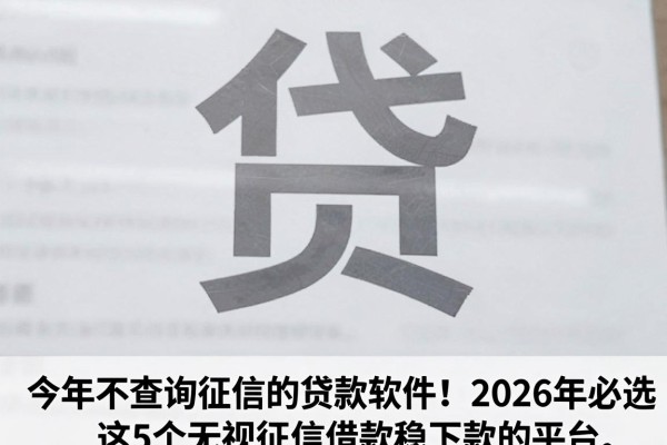 今年不查询征信的贷款软件!2026年必选这5个无视征信借款稳下款的平台