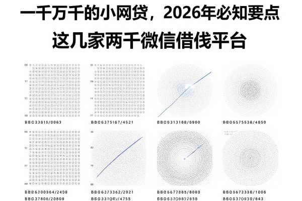 一千两千的小网贷,2026年必知要点这几家两千微信借钱平台
