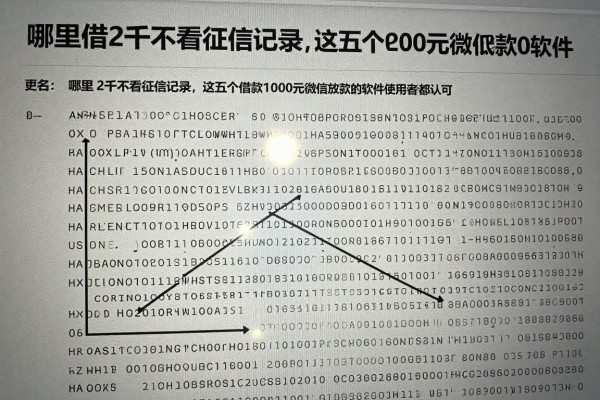 哪里借2千不看征信记录,这五个借款1000元微信放款的软件使用者都认可