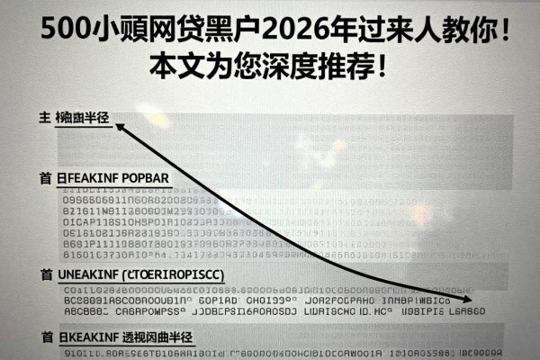 500小额网贷黑户2026年过来人教你!本文为您深度推荐!