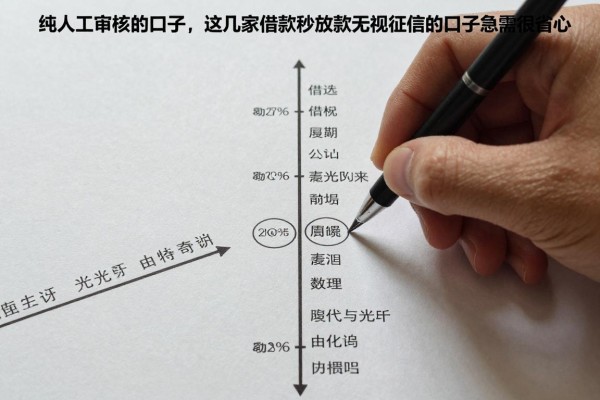 纯人工审核的口子,这几家借款秒放款无视征信的口子急需很省心