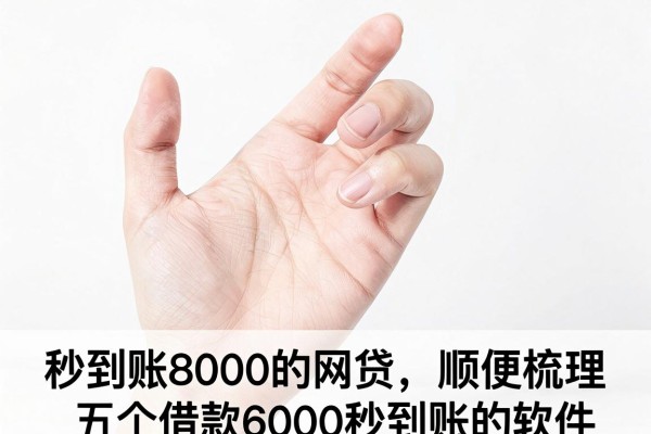 秒到账8000的网贷,顺便梳理五个借款6000秒到账的软件