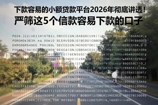 下款容易的小额贷款平台2026年彻底讲透!严筛这5个借款容易下款的口子