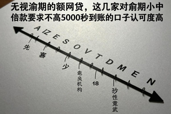 无视逾期的小额网贷,这几家对逾期小额借款要求不高5000秒到账的口子认可度高