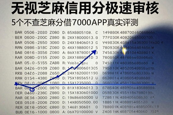 无视芝麻信用分极速审核,5个不查芝麻分借钱7000APP真实评测