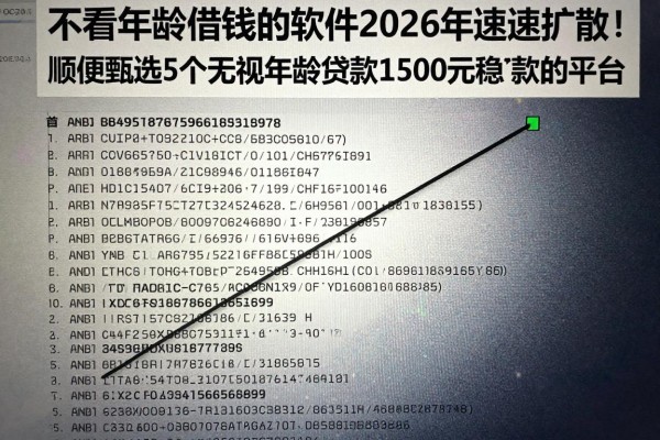 不看年龄借钱的软件2026年速速扩散！顺便甄选5个无视年龄贷款1500元稳下款的平台