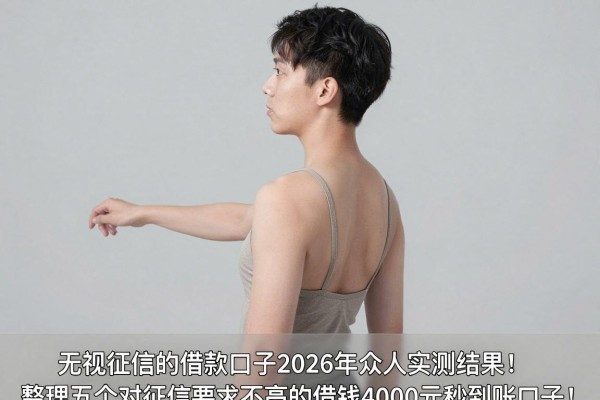 无视征信的借款口子2026年众人实测结果!整理五个对征信要求不高的借钱4000元秒到账口子