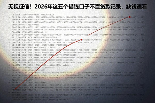 无视征信!2026年这五个借钱口子不查贷款记录,缺钱速看