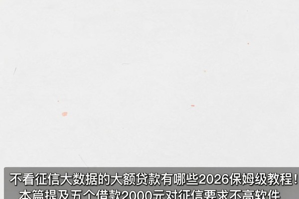 不看征信大数据的大额贷款有哪些2026保姆级教程!本篇提及五个借款2000元对征信要求不高软件