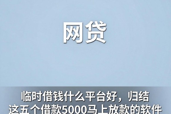 临时借钱什么平台好,归结这五个借款5000马上放款的软件