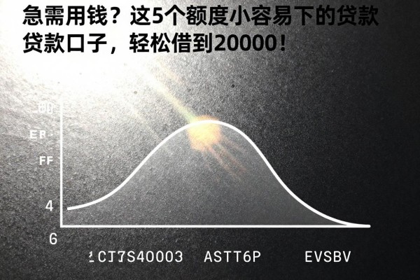 急需用钱？这5个额度小容易下的贷款口子，轻松借到20000！