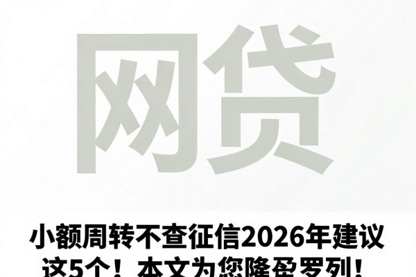 小额周转不查征信2026年建议这5个!本文为您隆重罗列!