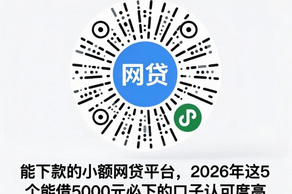 能下款的小额网贷平台，2026年这5个能借5000元必下的口子认可度高