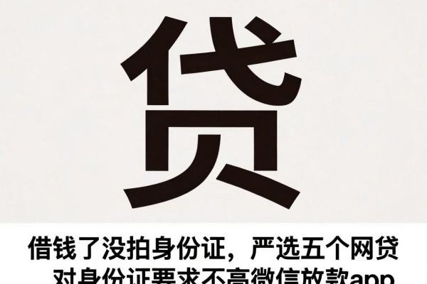 借钱了没拍身份证,严选五个网贷对身份证要求不高微信放款app