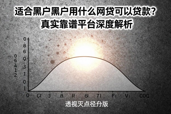 适合黑户黑户用什么网贷可以贷款？真实靠谱平台深度解析
