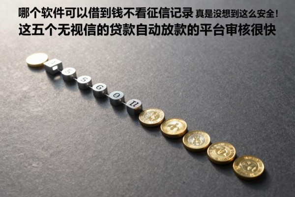 哪个软件可以借到钱不看征信记录2026年真是没想到这么安全!这五个无视征信的贷款自动放款的平台审核很快