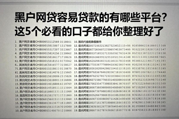 黑户网贷容易贷款的有哪些平台?这5个必看的口子都给你整理好了