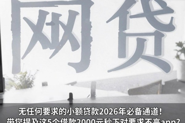 无任何要求的小额贷款2026年必备通道！带您提及这5个借款2000元秒下对要求不高app