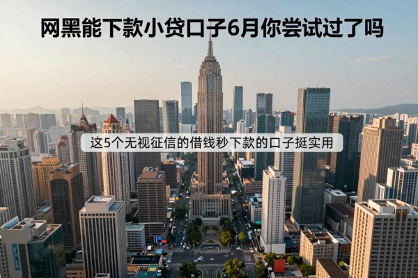 网黑能下款的小贷口子6月你尝试过了吗,这5个无视征信的借钱秒下款的口子挺实用的