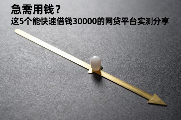 急需用钱?这5个能快速借钱30000的网贷平台实测分享!