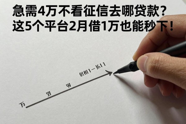 急需4万不看征信去哪贷款？这5个平台2月借1万也能秒下！
