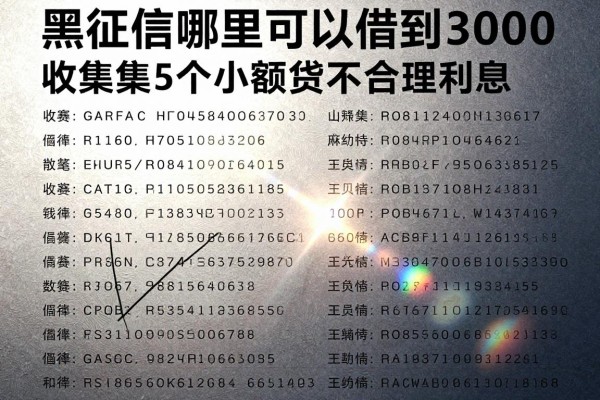 黑征信哪里可以借到3000,收集5个小额贷款不合理利息