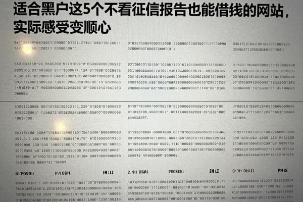 适合黑户这5个不看征信报告也能借钱的网站,实际感受蛮顺心