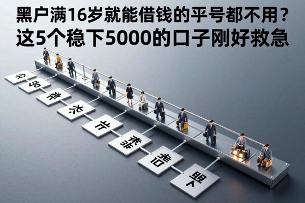 黑户满16岁就能借钱的平台连手机号都不用？这5个稳下5000的口子刚好救急