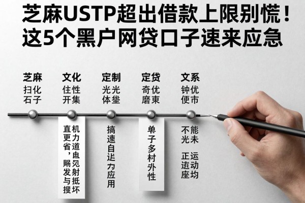 芝麻USDT超出借款上限别慌!这5个黑户网贷口子速来应急