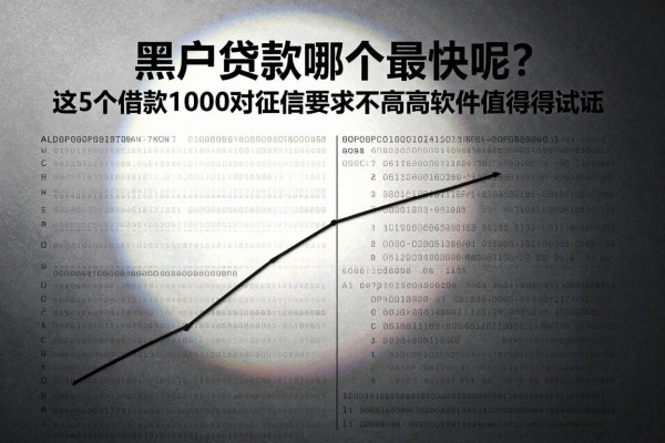 黑户贷款哪个最快呢？这5个借款1000对征信要求不高的软件值得试试