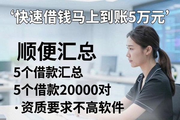 快速借钱马上到账5万元,顺便汇总5个借款20000对资质要求不高软件
