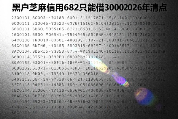 黑户芝麻信用682只能借30002026年清点这5个!本篇为您全面聚焦!