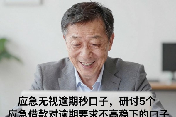 应急无视逾期秒口子,研讨5个应急借款对逾期要求不高稳下的口子