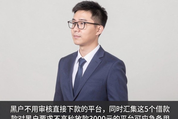 黑户不用审核直接下款的平台,同时汇集这5个借款对黑户要求不高秒放款3000元的平台可应急备用